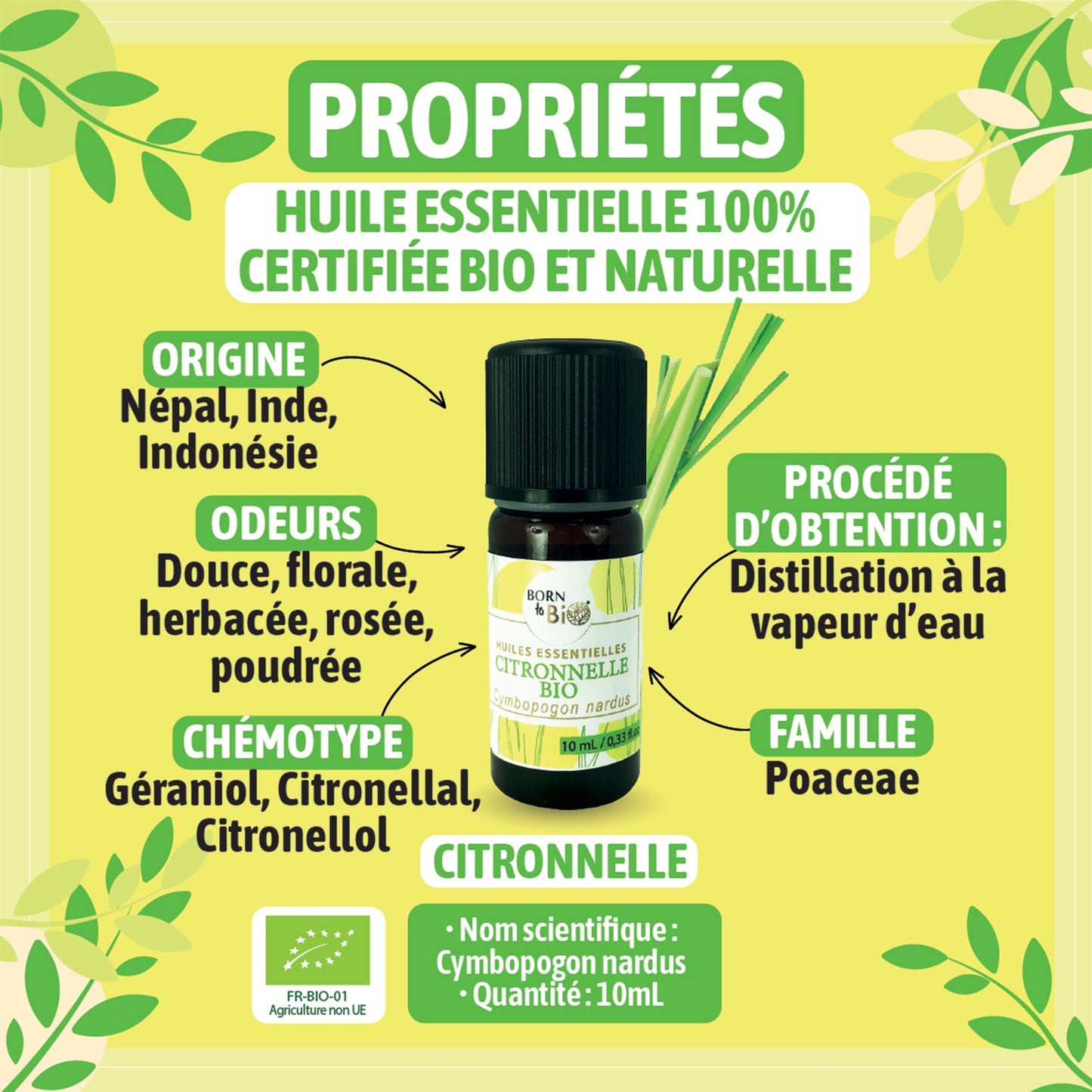 Certified Organic Lemongrass Essential Oil-1