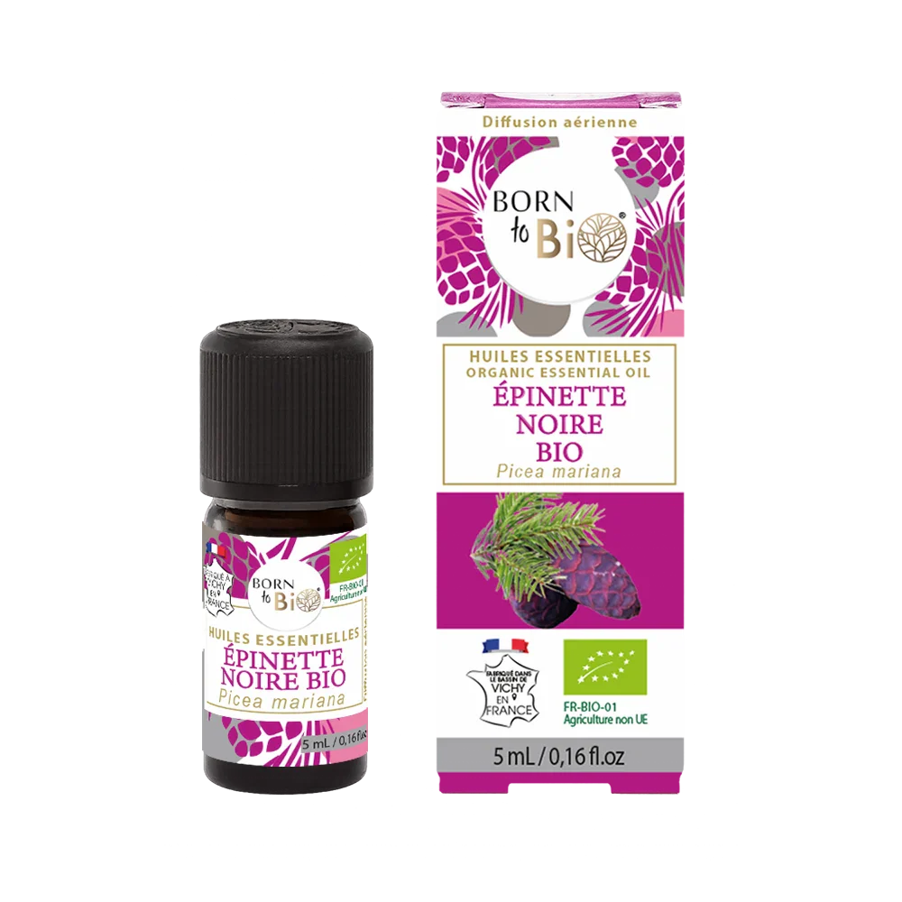 Certified Organic Black Spruce Essential Oil-1