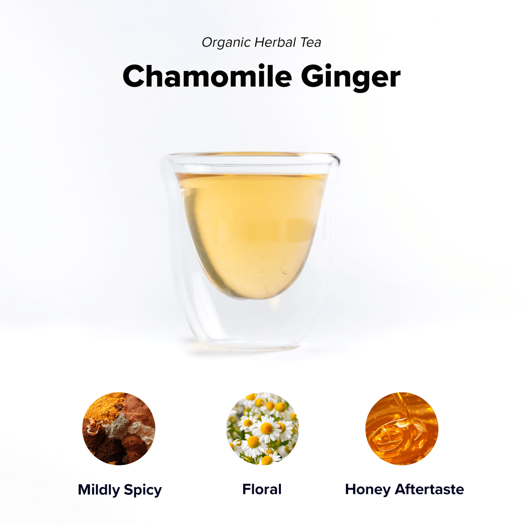 Chamomile Ginger | Wholesale-1