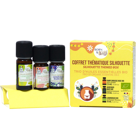 Silhouette theme box-0