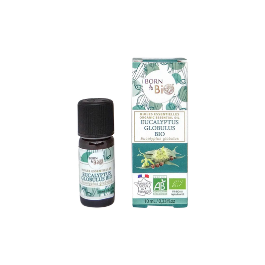 Eucalyptus globulus essential oil Certified Organic-0