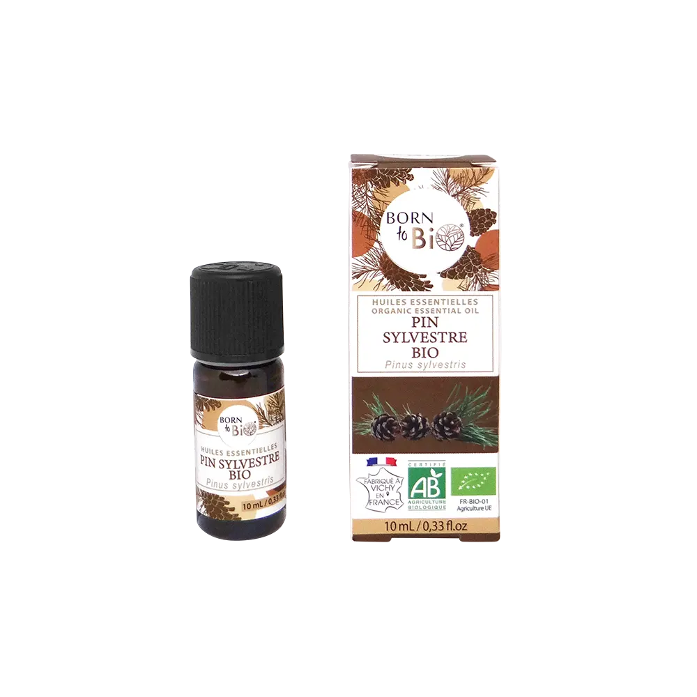 Certified Organic Scots Pine Essential Oil-0