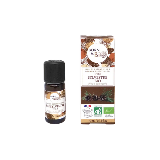 Certified Organic Scots Pine Essential Oil-0