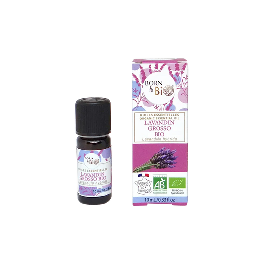 Lavandin grosso essential oil Certified Organic-0