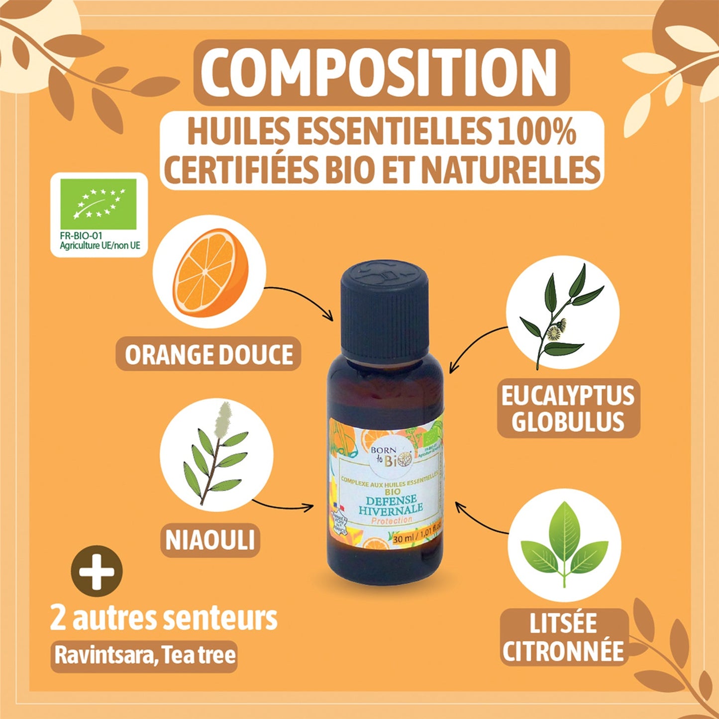 Winter Defense - Complex with Certified Organic Essential Oils-1