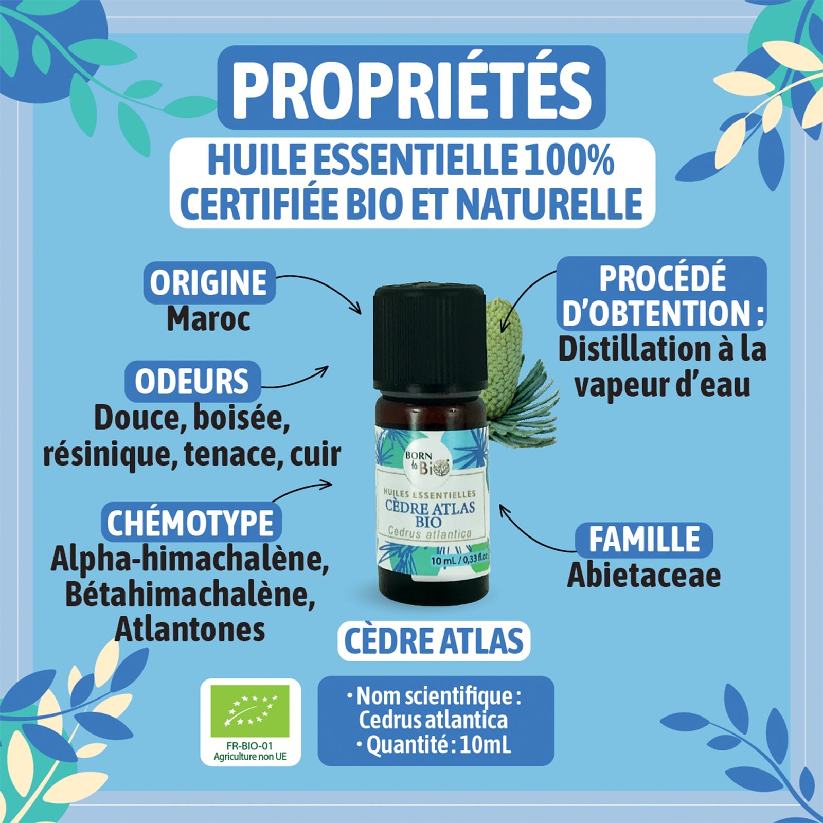 Certified Organic Atlas Cedar Essential Oil-1