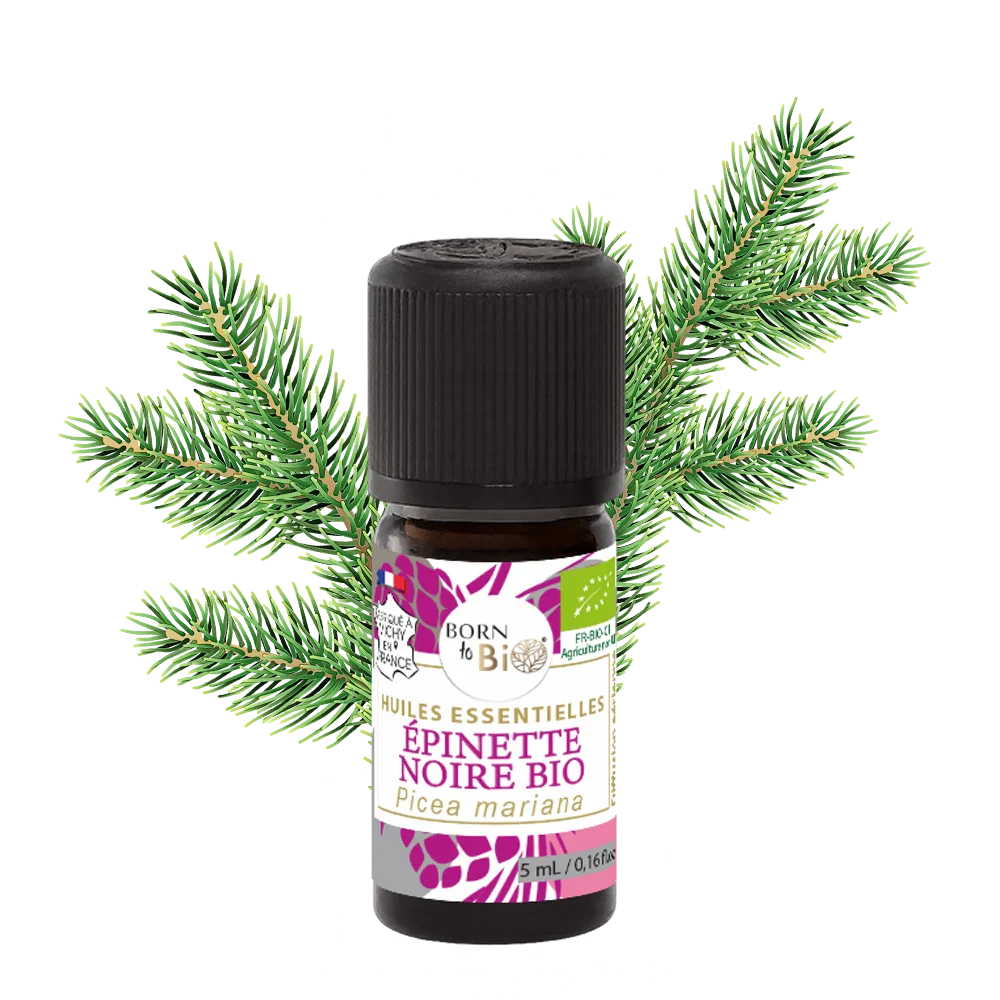 Certified Organic Black Spruce Essential Oil-0