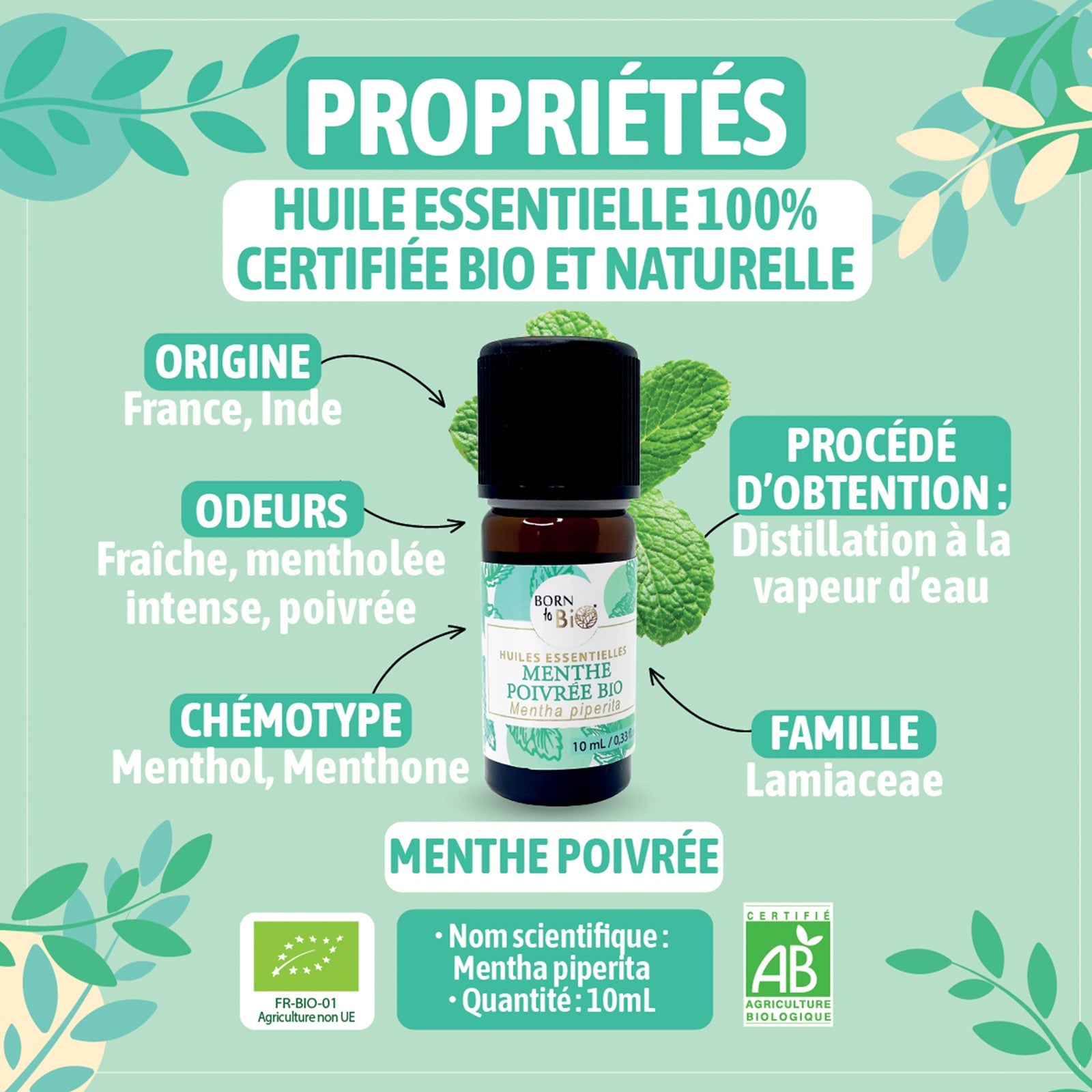 Certified Organic Peppermint Essential Oil-1