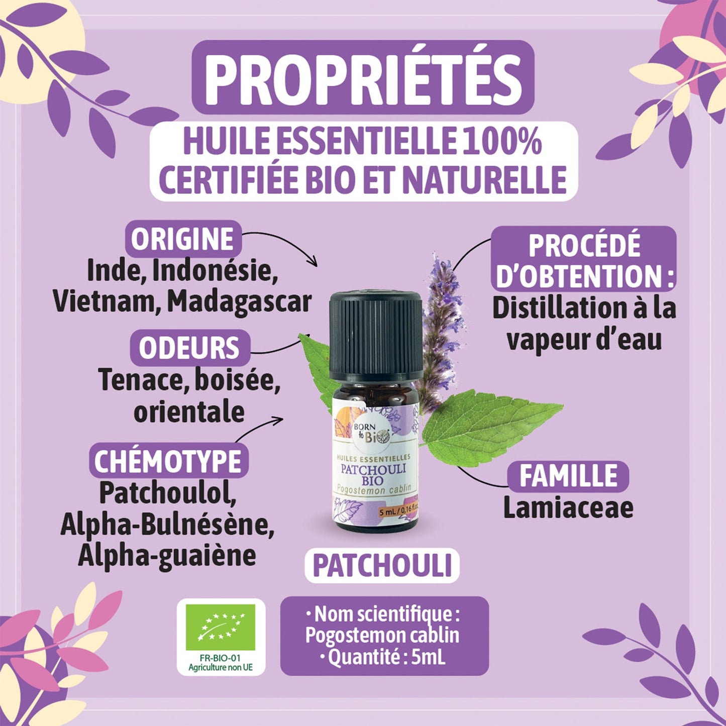 Certified Organic Patchouli Essential Oil-1