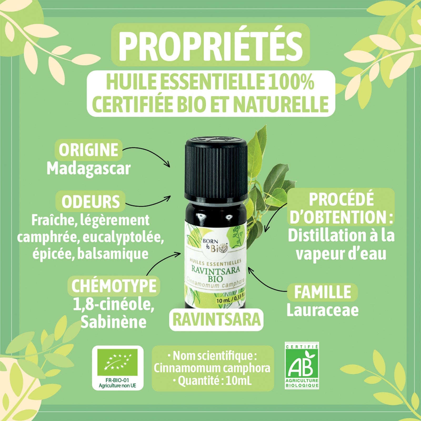 Certified Organic Ravintsara Essential Oil-1