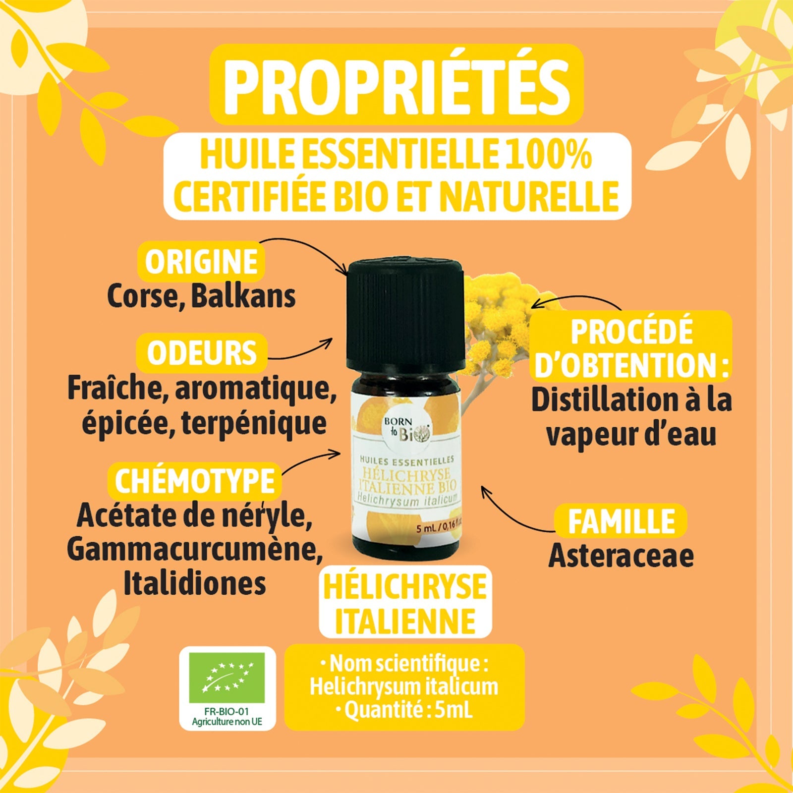 Certified Organic Italian Helichrysum Essential Oil-1