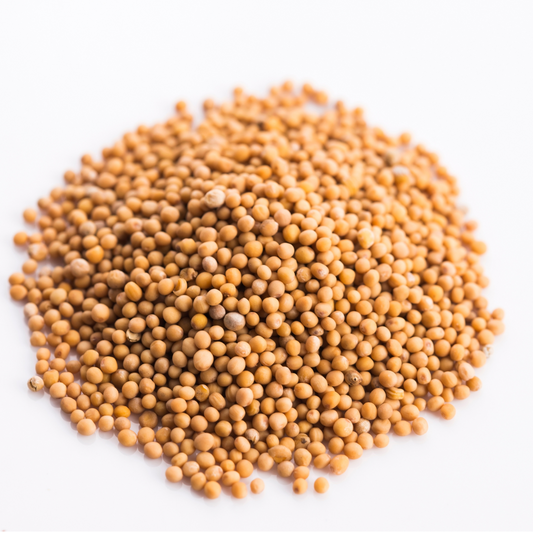 Yellow Mustard Seeds 100g-0