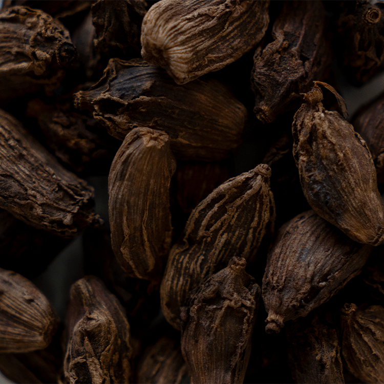 Cardamom | Wholesale-1