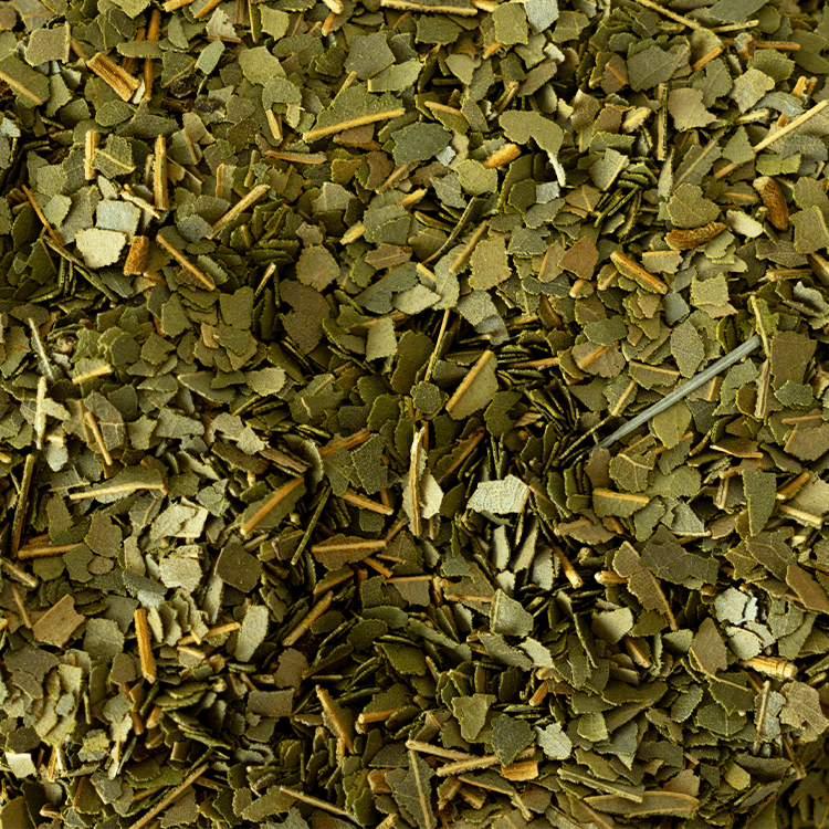 Cinnamon Leaves | Wholesale-1