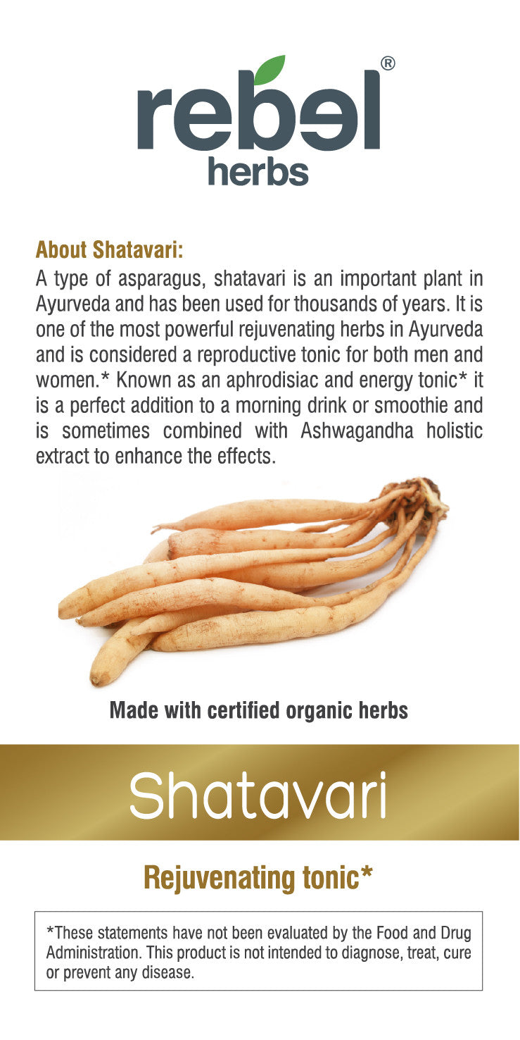 Shatavari Dual Extracted Powder-2