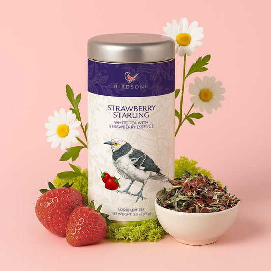 Strawberry Starling-0