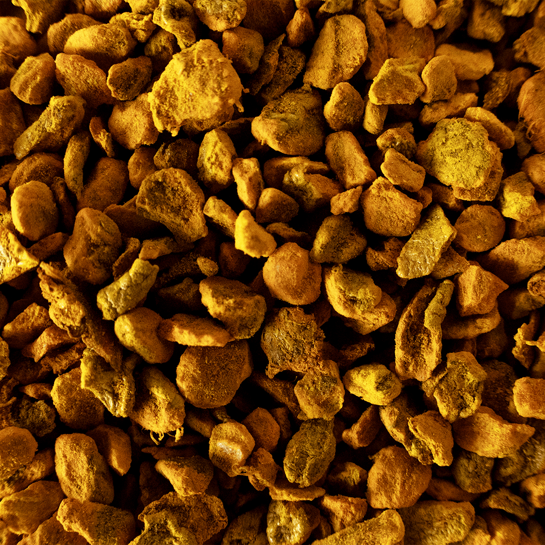 Organic Turmeric | Wholesale-1
