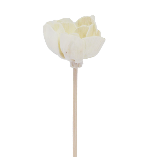 Andromeda Flower Bellflower - Rattan Diffuser Stick-0