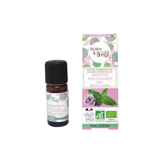 Certified Organic Field Mint Essential Oil-0