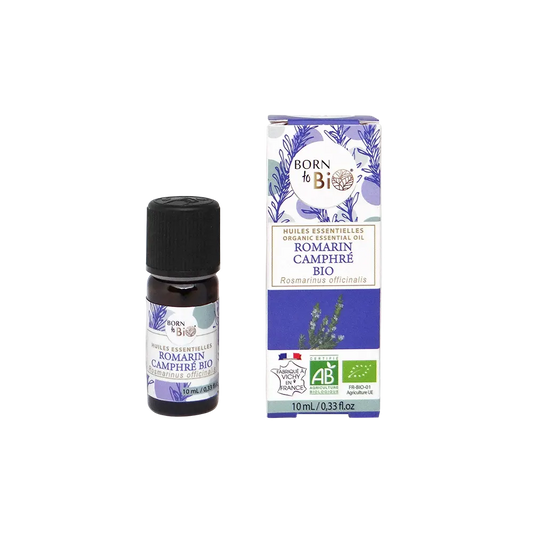 Organic Camphor Rosemary Essential Oil-0