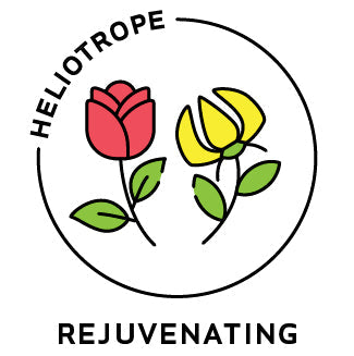 Essential Oil Blend Rejuvenating (Rose Ylang Ylang)-0