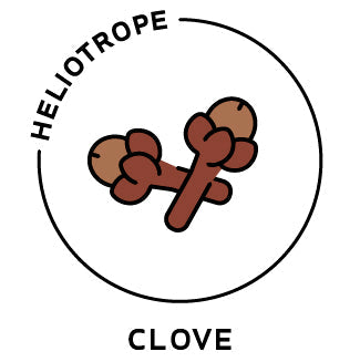 Essential Oil - Clove-0