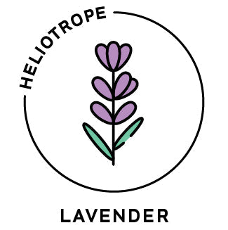 Essential Oil - Lavender-0