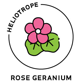 Essential Oil - Rose Geranium-0