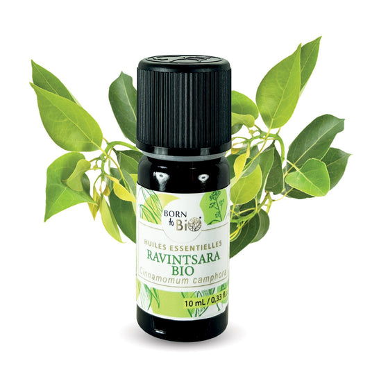 Certified Organic Ravintsara Essential Oil-0