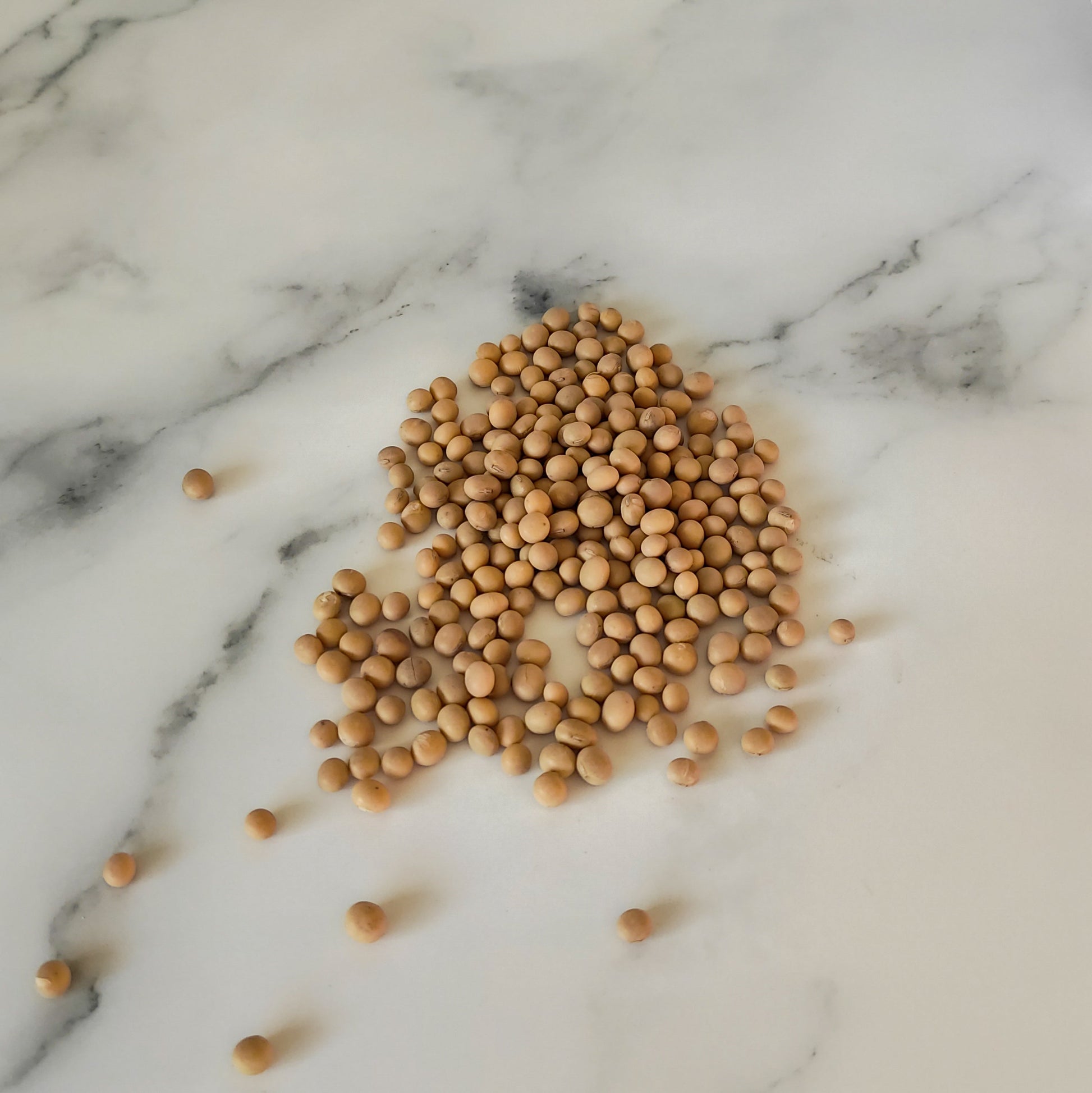 Soybeans non-GMO for Tempeh 1kg-0