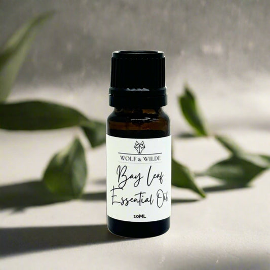 Bay Leaf Pure Essential Oil-0
