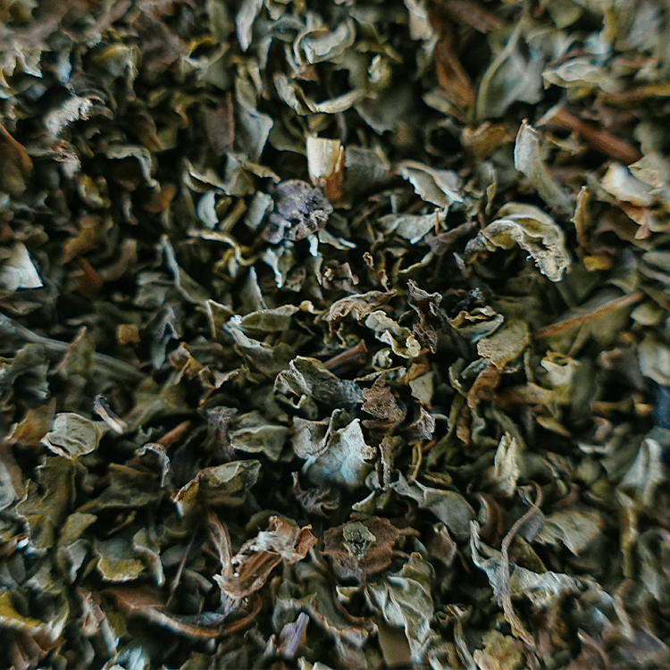 Spearmint | Wholesale-1