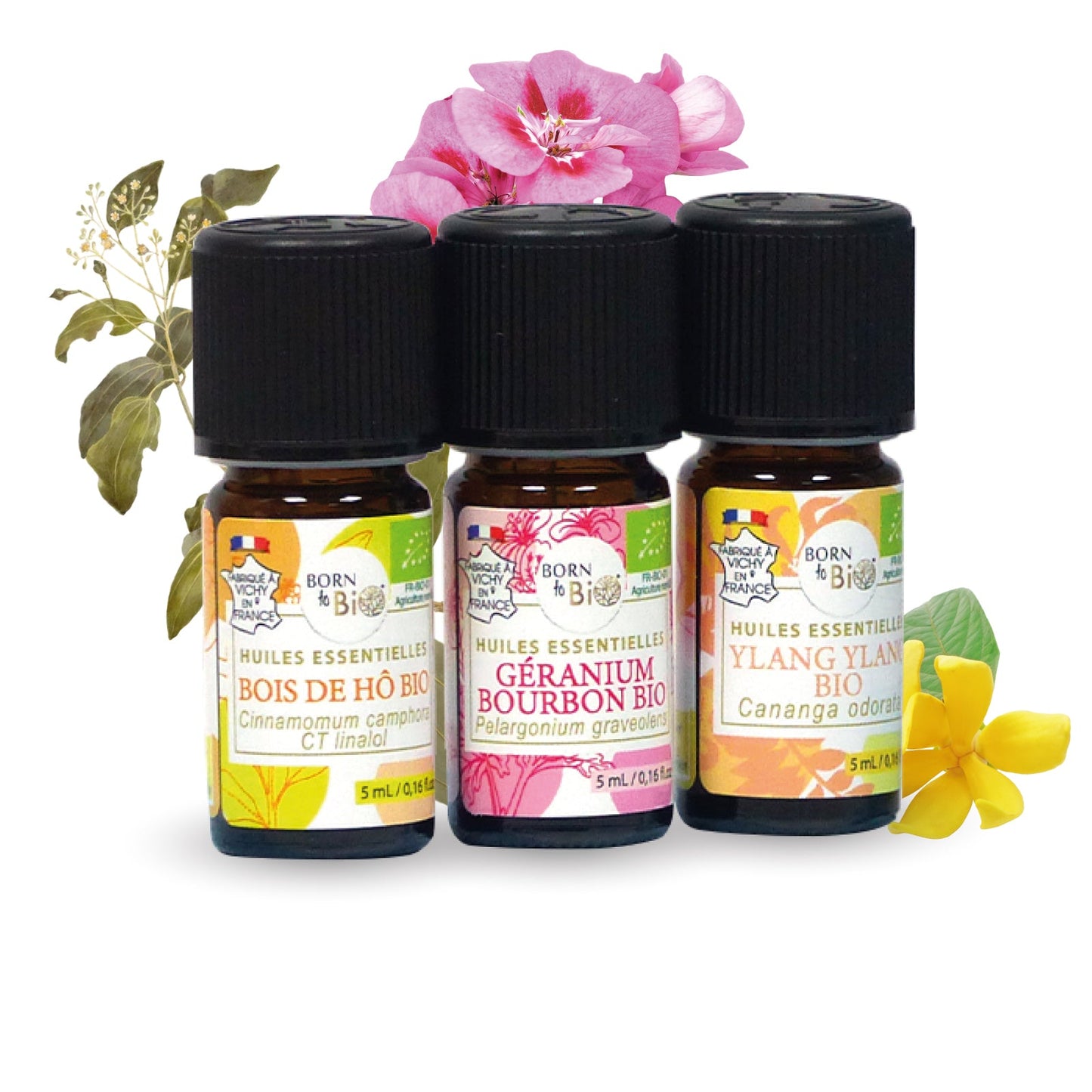 Themed facial toning box-1