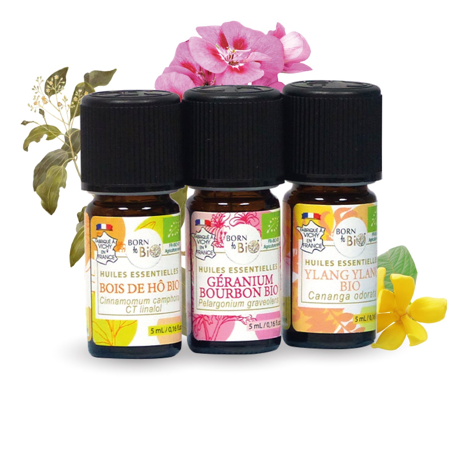 Themed facial toning box-1