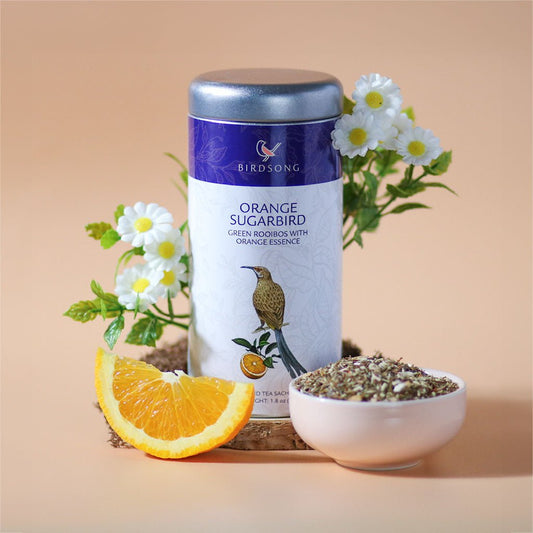 Orange Sugarbird-0