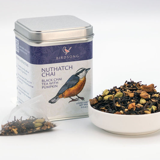 Nuthatch Pumpkin Chai-0